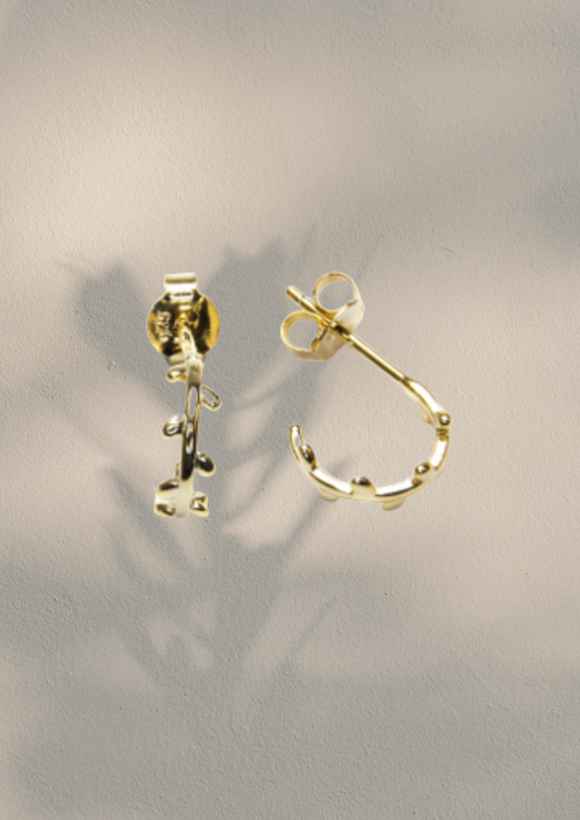 Pendientes Enredadera